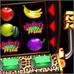Reel Riot Online Slot Machine
