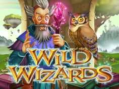 Wild Wizards Online Slot Machine