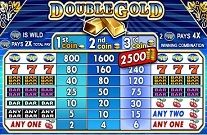 Double Gold Online Slot Machine