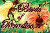 Birds of Paradise Online Slot Machine