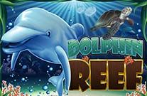Dolphin Reef Online Slot Machine